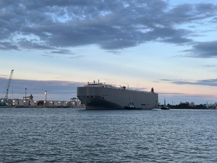 Porto de Itajaí recebe carga de veículos de luxo nesta terça-feira (20) Porto de Itajaí recebe carga de veículos de luxo nesta terça-feira (20)