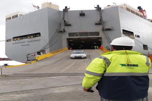 Porto de Itajaí recebe terceiro “teste” de desembarque de veículos importados.
