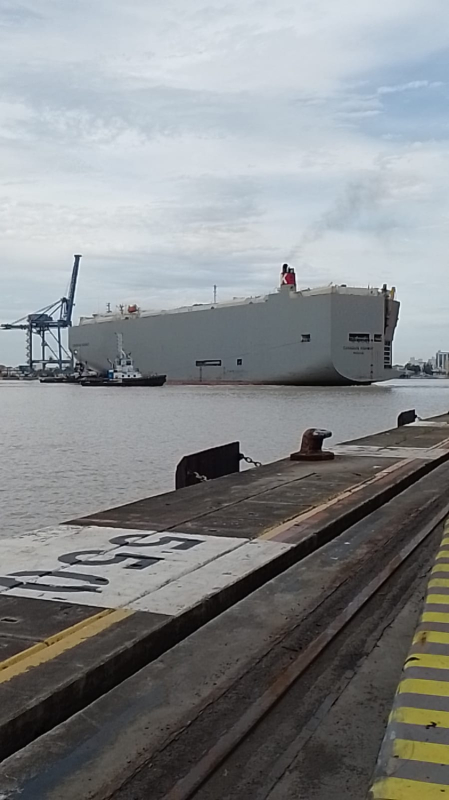 Porto de Itajaí recebe sua 10ª atracação de navio ROLL ON ROLL OFF